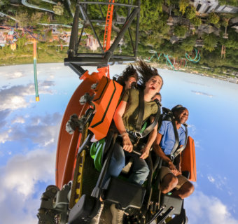 Tigris, la montaña rusa más alta de Florida, está en Busch Gardens Tampa Bay