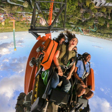 Tigris, la montaña rusa más alta de Florida, está en Busch Gardens Tampa Bay