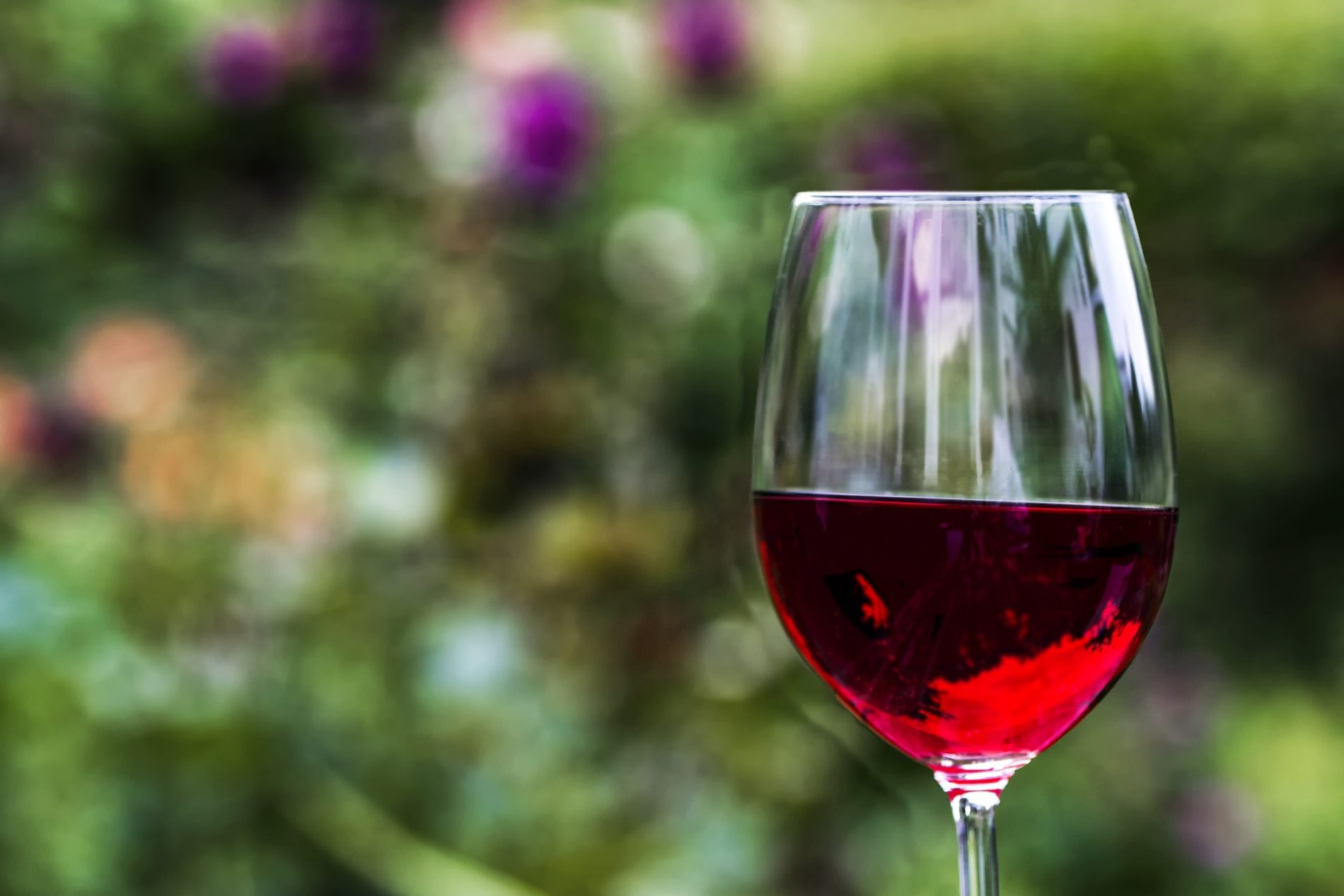 vino mexicano, festivales ciudad de mexico, ciudad de mexico, mexcio, vino, que hacer en ciudad de mexico