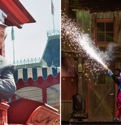 Fandom nivel: Arman parques Disney en casa