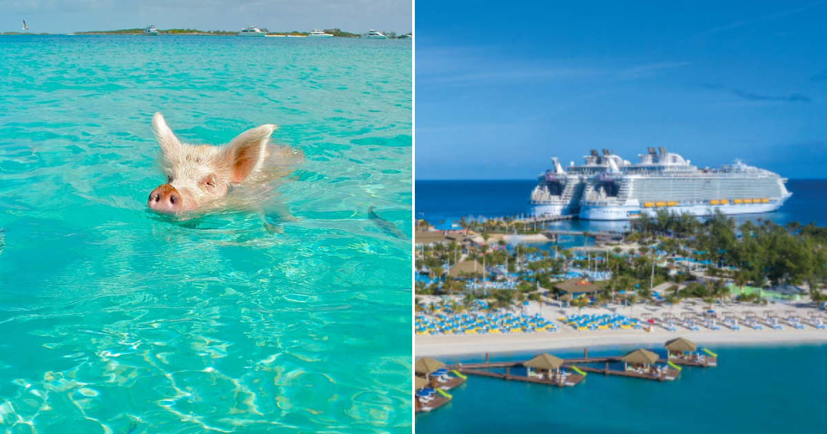 traverology, royal caribbean interantional, royal caribbean bahamas, cruceros mexico, cruceros bahamas
