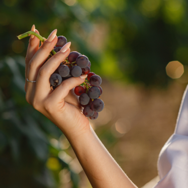 Tierra de Luz Hacienda Vinícola: Mujeres líderes en la industria del vino en México